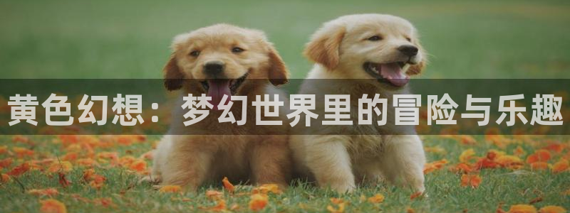 omofun怎么下
