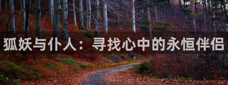 omofun官方正版