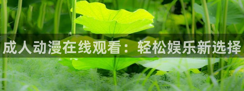 新omofun：成人动漫在线观看：轻松娱乐新选择