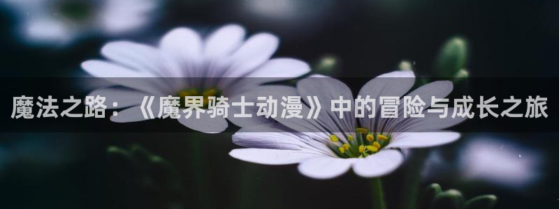 动漫共和国omofun：魔法之路：《魔界骑士动漫》中的冒险与成长之旅