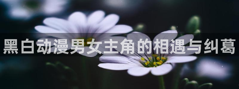 omofun网页版地址：黑白动漫男女主角的相遇与纠葛