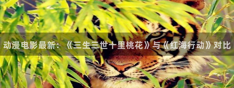 omofun官网入口：动漫电影最新：《三生三世十里桃花》与《红海行动》对比