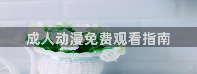 动漫omofun：成人动漫免费观看指南