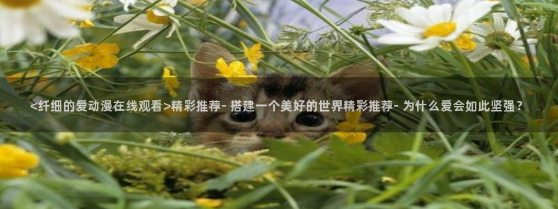 omofun最新：<纤细的爱动漫在线观看>精彩推荐- 搭建一个美好的世界精彩推荐- 为什么爱会如此坚强？