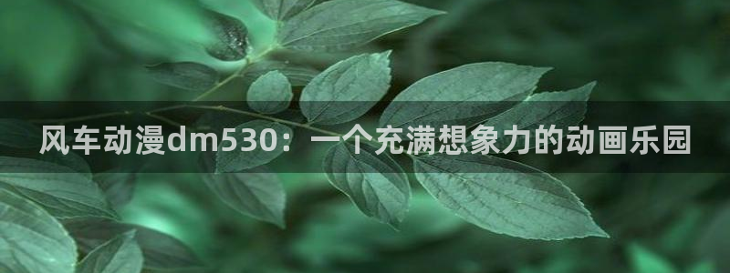 omofun动漫在线观看免费全集：风车动漫dm530：一个充满想象力的动画乐园