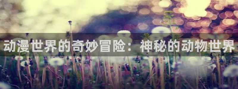 omofun下载app：动漫世界的奇妙冒险：神秘的动物世界