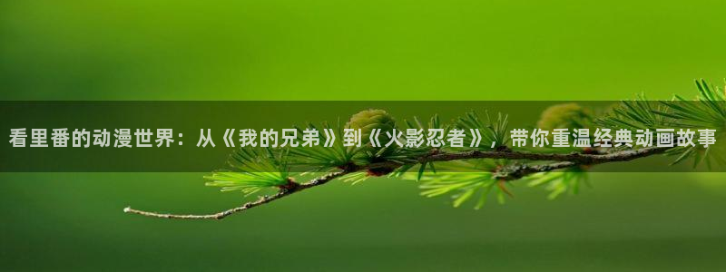omofun动漫在线：看里番的动漫世界：从《我的兄弟》到《火影忍者》，带你重温经典动画故事