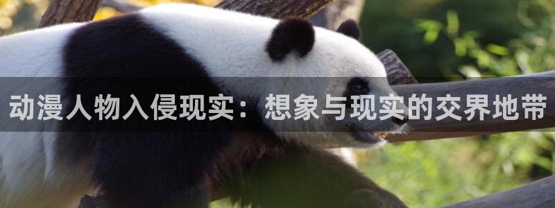 omofun在线：动漫人物入侵现实：想象与现实的交界地带