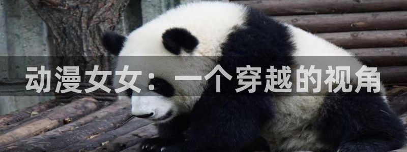 omofun\'：动漫女女：一个穿越的视角