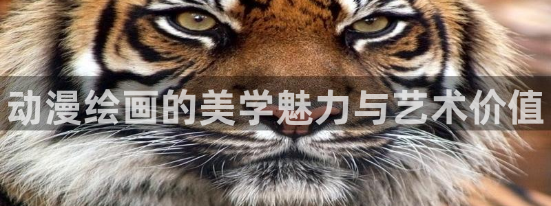 o站omofun官网：动漫绘画的美学魅力与艺术价值