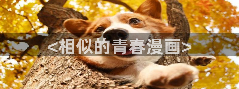 omofun动漫软件下载免费版