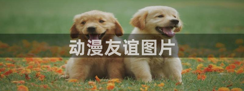 omofun免费正版下载