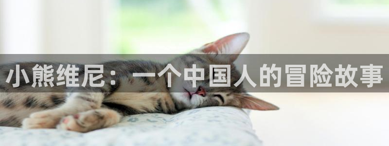 omofun全新：小熊维尼：一个中国人的冒险故事
