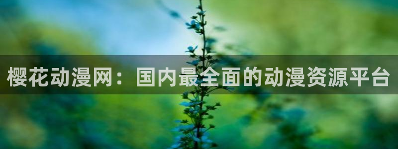 omofun官方网站app下载：樱花动漫网：国内最全面的动漫资源平台