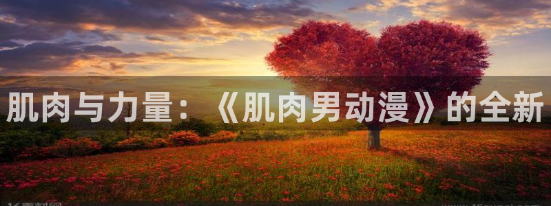 omofun官方版网页：肌肉与力量：《肌肉男动漫》的全新