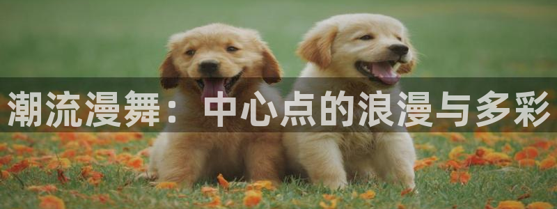 omofun官网入口安卓：潮流漫舞：中心点的浪漫与多彩