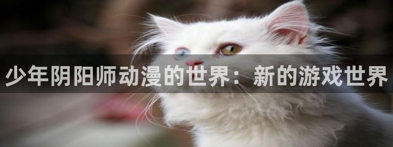 omofun?：少年阴阳师动漫的世界：新的游戏世界