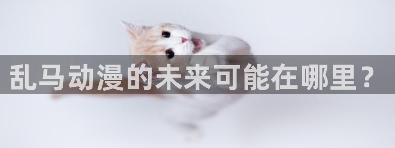 - omofun：乱马动漫的未来可能在哪里？