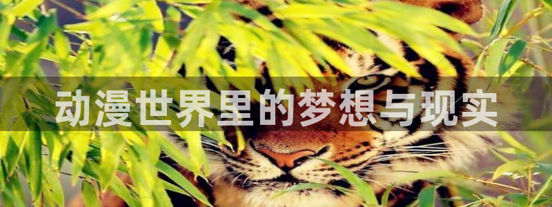 omofun动漫在线：动漫世界里的梦想与现实