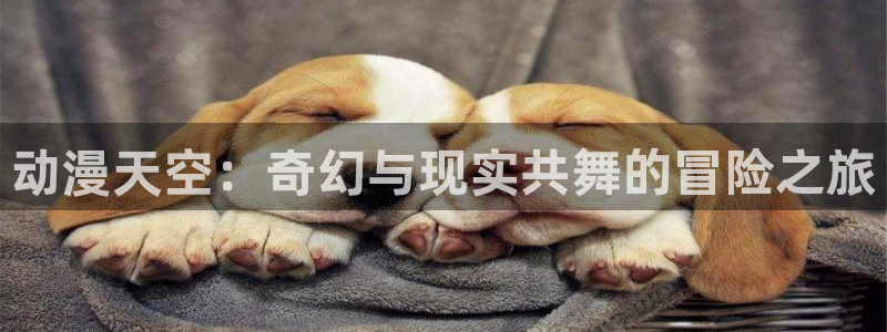 omofun网页：动漫天空：奇幻与现实共舞的冒险之旅