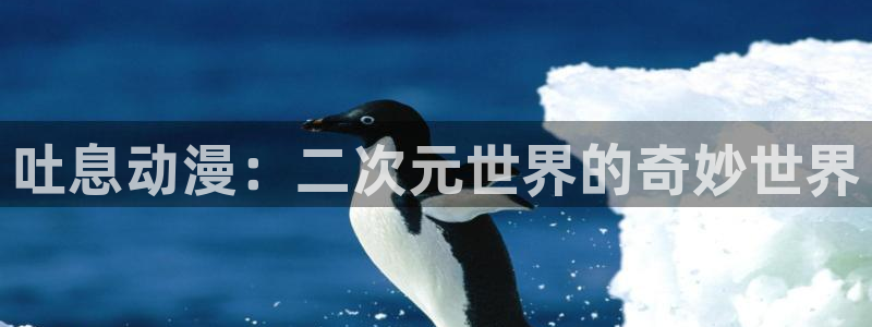 omofun网页版怎么没了：吐息动漫：二次元世界的奇妙世界