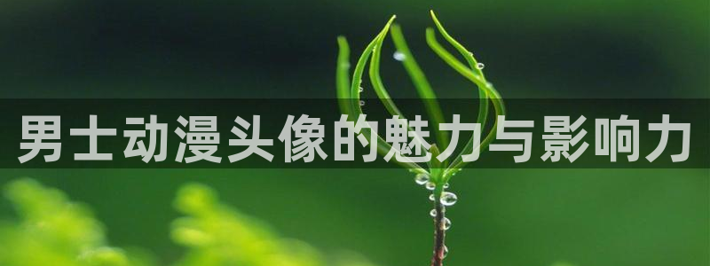 omofun轻量版