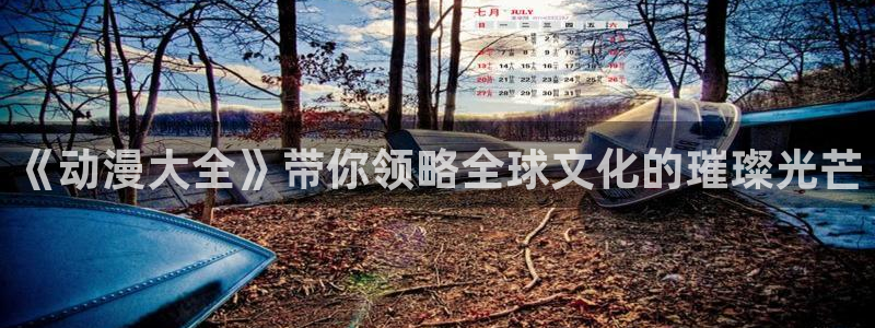 进入omofun官网：《动漫大全》带你领略全球文化的璀璨光芒