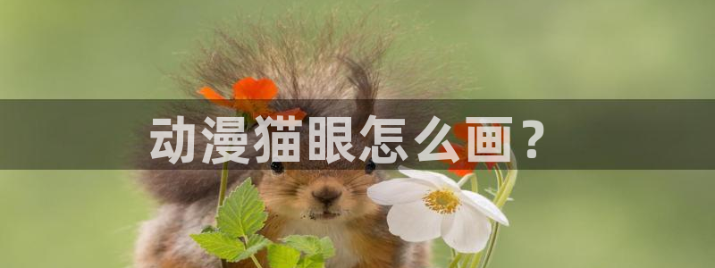 omofun动漫app：动漫猫眼怎么画？