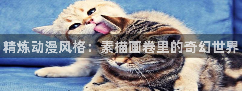 omofun官方下载：精炼动漫风格：素描画卷里的奇幻世界