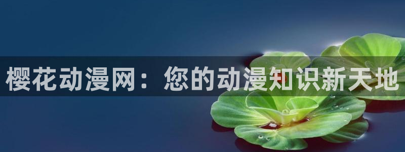 omofun网站入口：樱花动漫网：您的动漫知识新天地