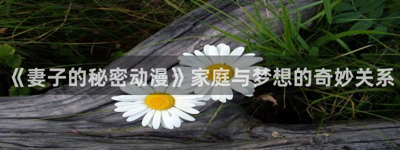 omofun动漫软件下载免费版：《妻子的秘密动漫》家庭与梦想的奇妙关系