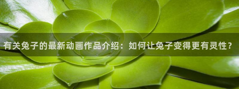 omofun免费看动漫：有关兔子的最新动画作品介绍：如何让兔子变得更有灵性？